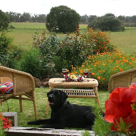 Silversprings Spa Retreat Pet Friendly Cottages And Glampings Metricup エクステリア 写真