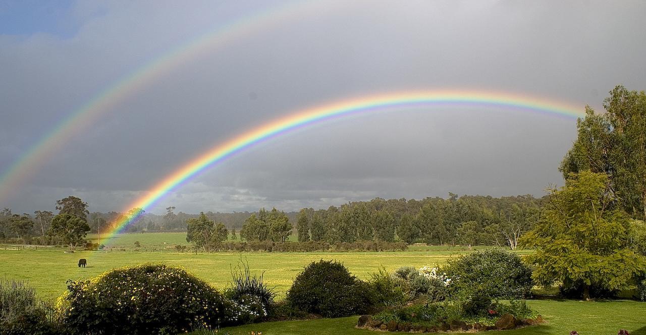 Silversprings Spa Retreat Pet Friendly Cottages And Glampings Metricup エクステリア 写真