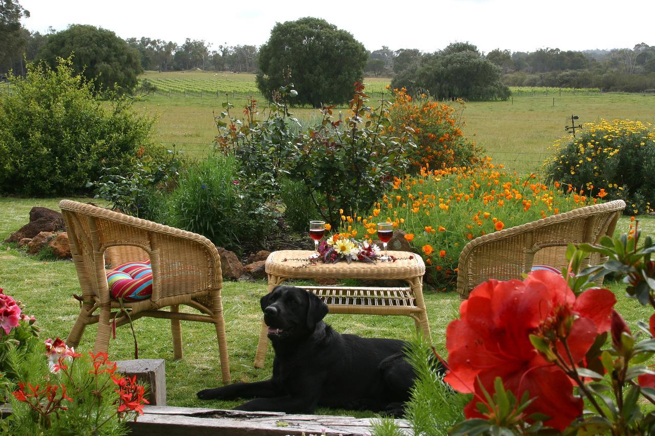 Silversprings Spa Retreat Pet Friendly Cottages And Glampings Metricup エクステリア 写真