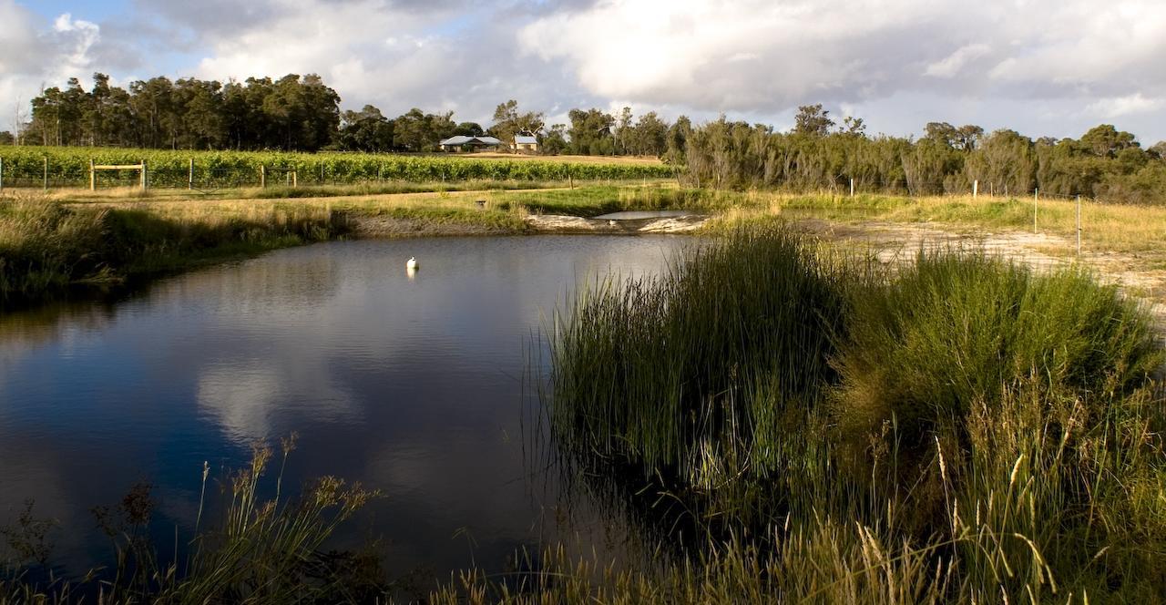 Silversprings Spa Retreat Pet Friendly Cottages And Glampings Metricup エクステリア 写真